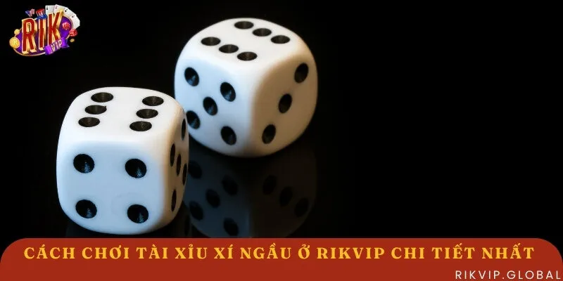 Tường tận cách chơi Tài Xỉu Xí Ngầu ở Rikvip